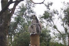 Summer-Holidays-2008-032