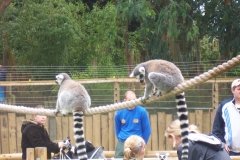 Summer-Holidays-2008-033