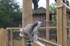 Summer-Holidays-2008-034