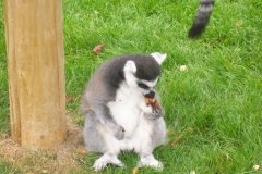 Summer-Holidays-2008-035