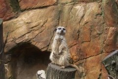 Summer-Holidays-2008-039