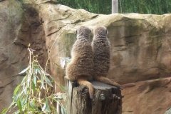 Summer-Holidays-2008-040