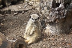 Summer-Holidays-2008-041