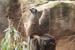 Summer-Holidays-2008-042