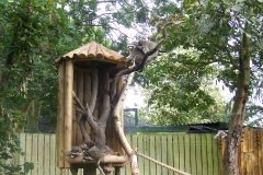 Summer-Holidays-2008-043