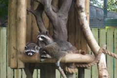 Summer-Holidays-2008-044