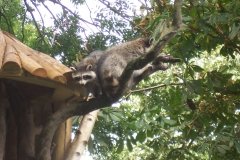 Summer-Holidays-2008-045