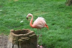 Summer-Holidays-2008-047