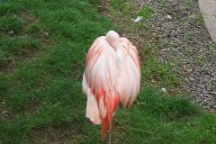 Summer-Holidays-2008-048