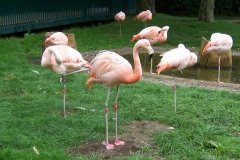 Summer-Holidays-2008-049