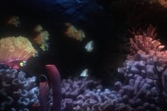 2018-08-16_11-06-46_522