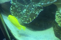 2018-08-16_11-29-40_109