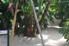 2018-08-16_15-28-46_480