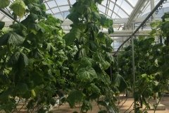 2018-08-16_15-32-06_920