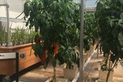 2018-08-16_15-32-46_273