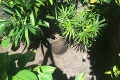 2018-08-17_10-52-36_145