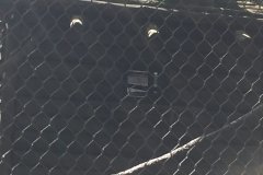 2018-08-17_10-58-07_310