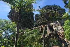 2018-08-17_11-07-48_105