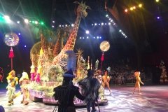 2018-08-17_12-07-55_004