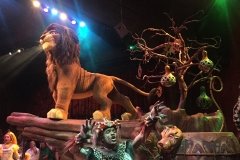 2018-08-17_12-09-15_698