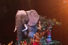 2018-08-17_12-09-45_072