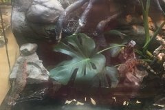 2018-08-17_13-24-52_237