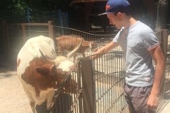 2018-08-17_13-39-01_864