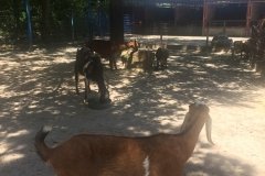 2018-08-17_13-39-27_774