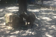 2018-08-17_13-39-49_952