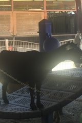 2018-08-17_13-40-09_929