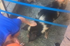 2018-08-17_13-46-33_889