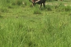 2018-08-17_16-39-29_411