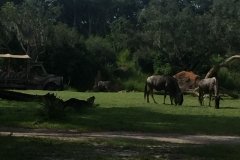 2018-08-17_16-40-00_612