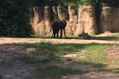 2018-08-17_16-44-17_005