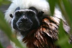 AK_AK_20161120_7869422720