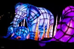 AK_AK_20170807_8082433514