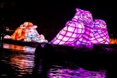 AK_AK_20170807_8082433516