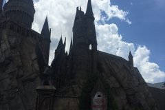 2018-08-19_14-14-11_212