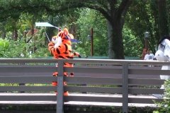 2007_0807orlando0054