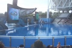 2007_0807orlando0084