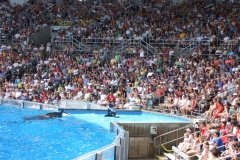 2007_0807orlando0085